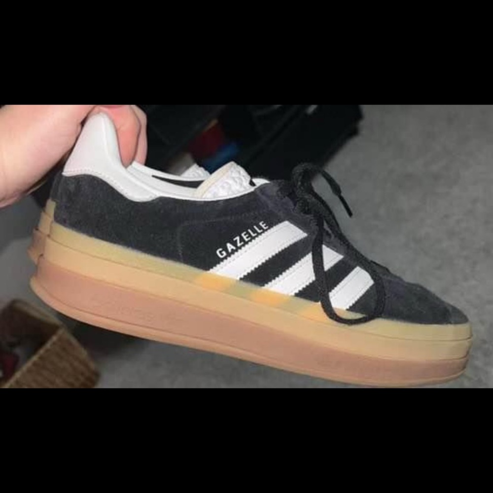 Gazelle bold